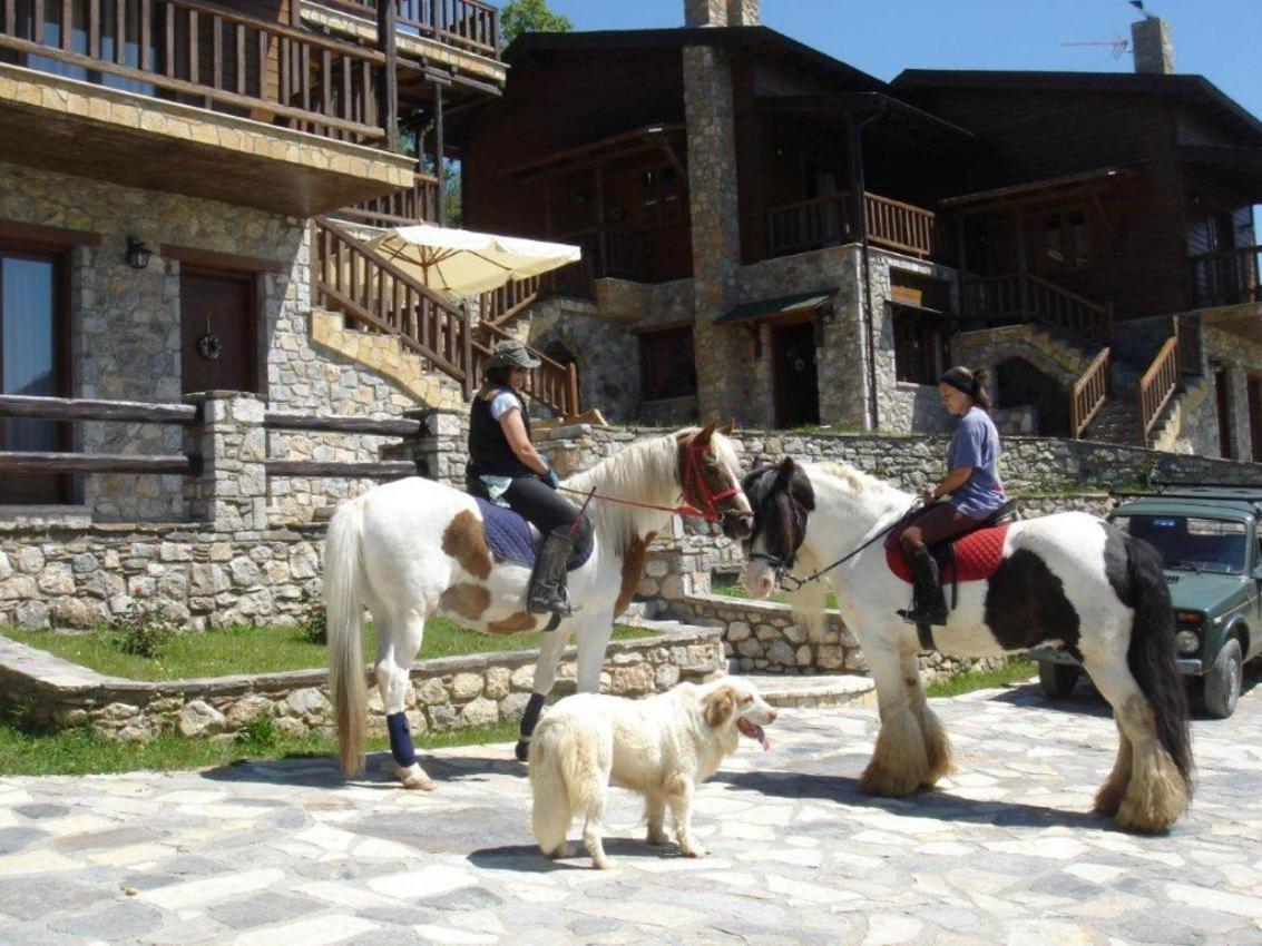 Εύχαρις Φιλόξενον Διαμέρισμα Φενεός Εξωτερικό φωτογραφία